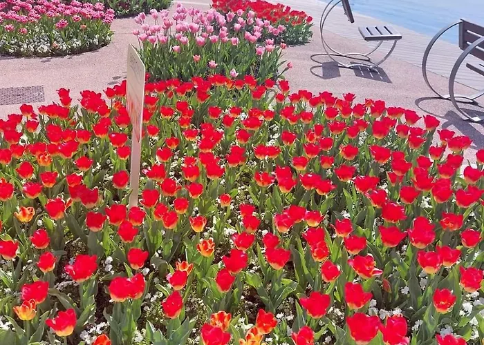 Caba Pasubio Bardolino